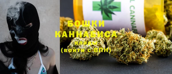 PSILOCYBIN Лихославль