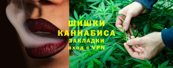 PSILOCYBIN Лихославль
