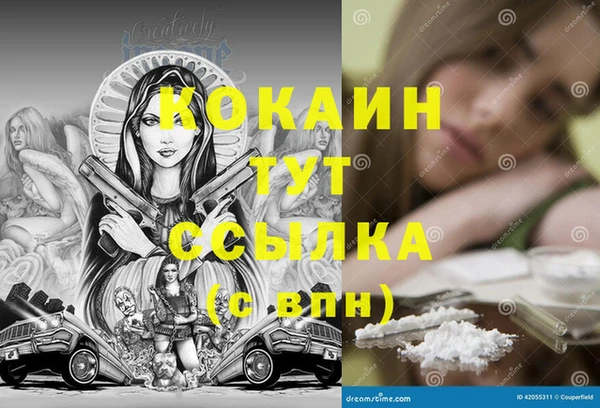 PSILOCYBIN Лихославль