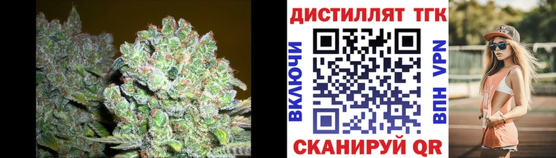 Купить  Спасск  ТГК концентрат 