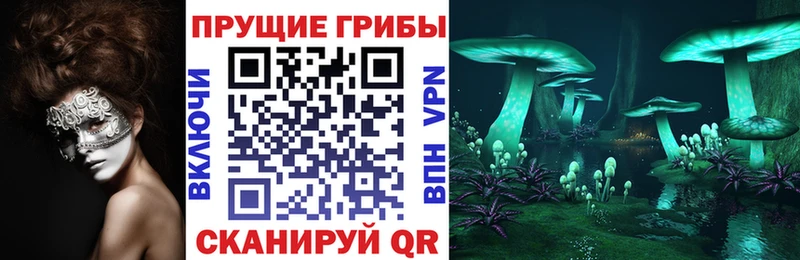 Галлюциногенные грибы мухоморы  Купить закладки  Спасск 